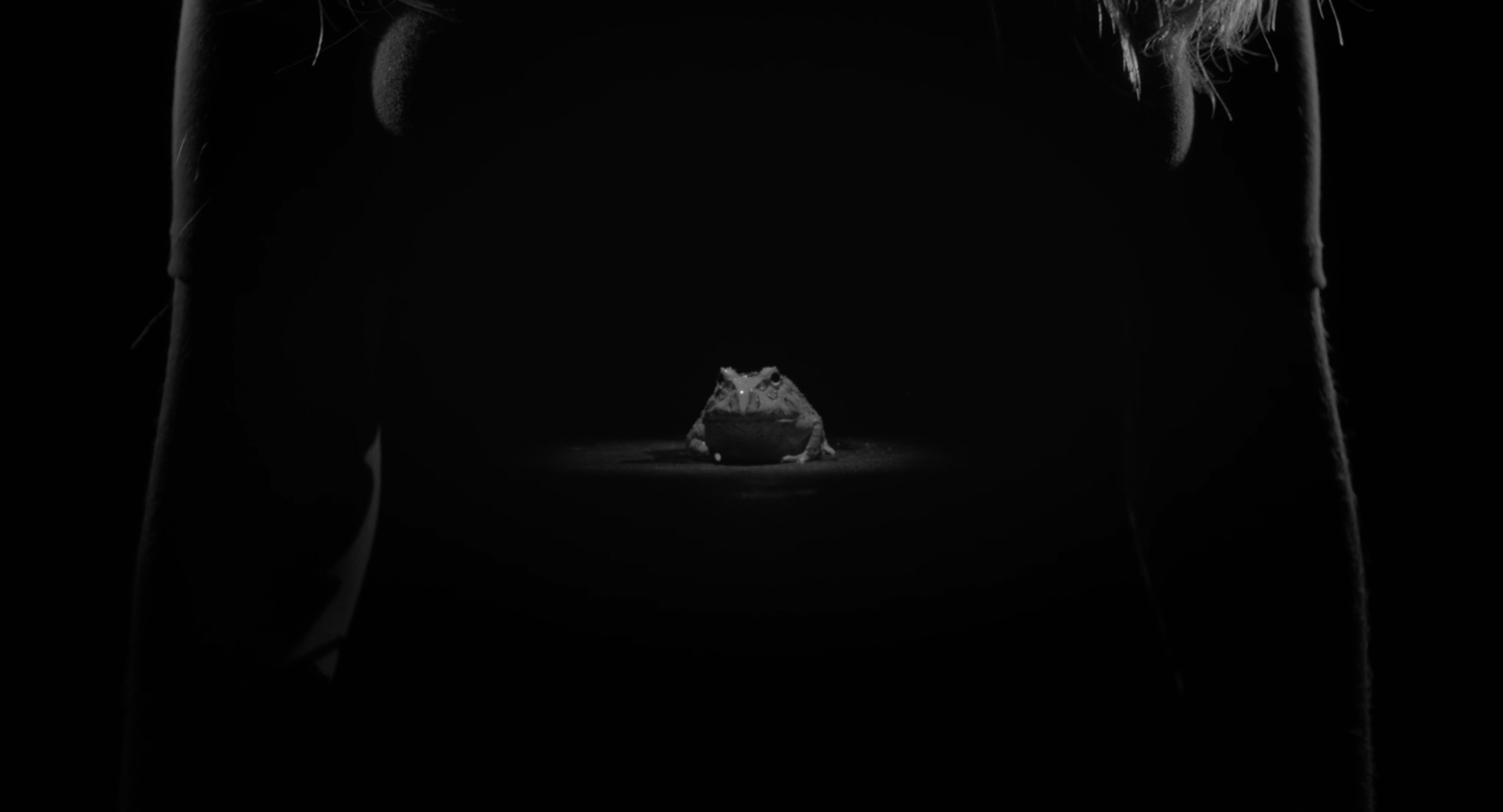 An image of Kristie